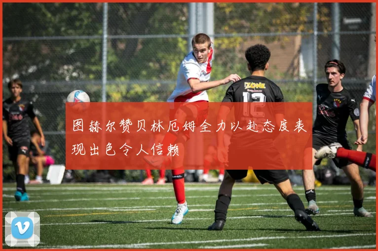 图赫尔赞贝林厄姆全力以赴态度表现出色令人信赖