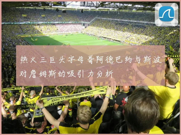 热火三巨头字母哥阿德巴约与斯波对詹姆斯的吸引力分析