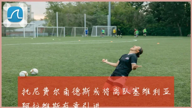 托尼费尔南德斯或将离队塞维利亚阿拉维斯有意引进