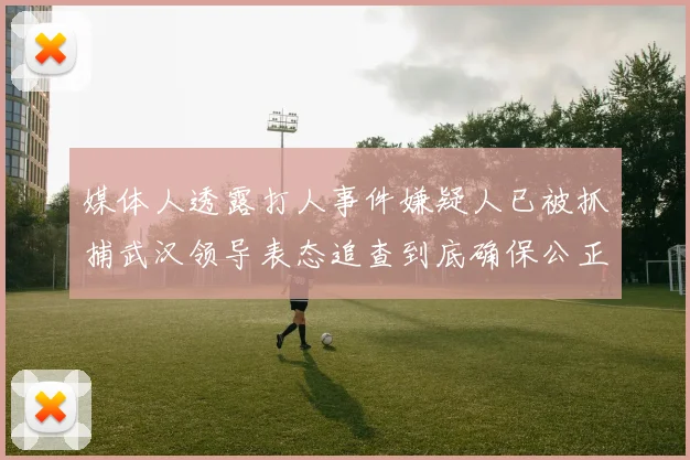 媒体人透露打人事件嫌疑人已被抓捕武汉领导表态追查到底确保公正处理