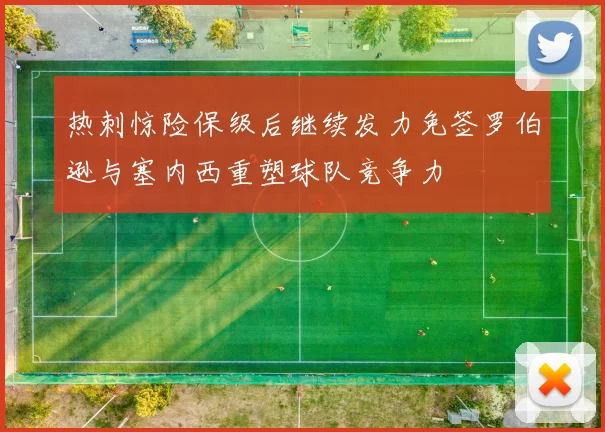 热刺惊险保级后继续发力免签罗伯逊与塞内西重塑球队竞争力