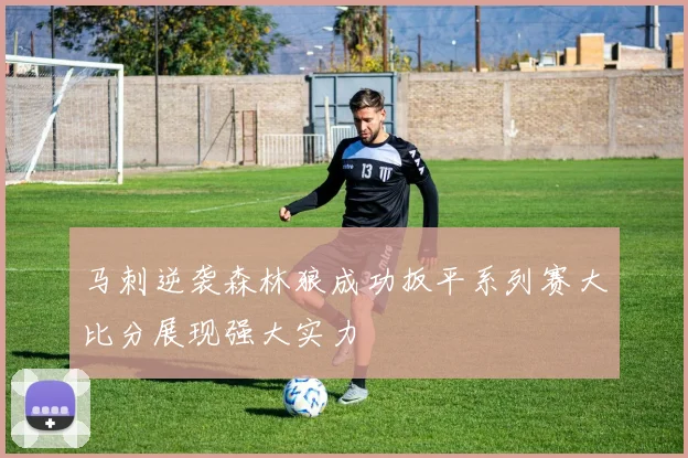 马刺逆袭森林狼成功扳平系列赛大比分展现强大实力